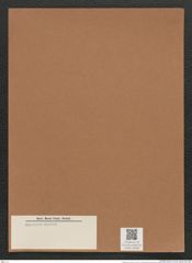 Fragilaria sp. (de-Toni-Nr.: Genus 73) Zeichnungen Sammlung Grunow Mappe 02966 (Herbarium_W_Grunow_drawings_Folder_02966)